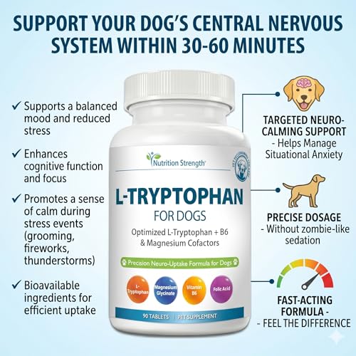 Image of Precision L-Tryptophan for Dogs 90 Chewable Tablets | Optimized Neuro-Uptake Formula with B6 & Magnesium for Maximum Brain Absorption | Advanced Calming Tablets for Stress Relief