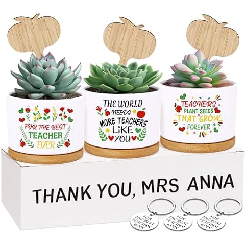 Renbuzhu Teacher Appreciation Week Gifts: 3 Succulent Plant Pots, 3 Wooden Signs, 3 Trays, 3 Key-chains, 1 Card&Personalized Box with Letters, Thank You Teachers Gift Bulk for Women Men(No Plants) Cover