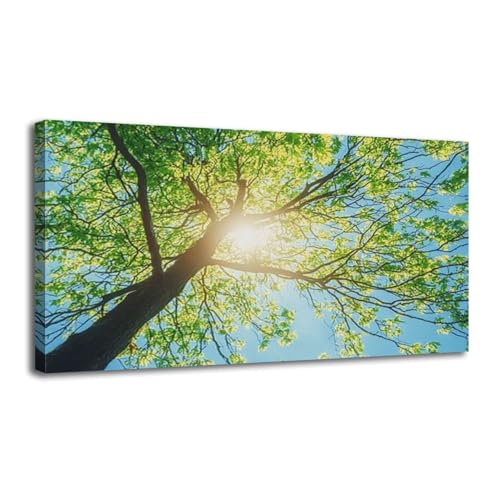 Canvas Wall Art Spring Sun Shining Canopy Tall Tree Sunlight