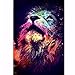 Produktbild SHUIBIAN Diamond Painting Set 5d Diamant Painting Bilder Full Groß DIY Diamant Malerei Kits für Home Wall Décor(Löwe, 30X40cm)