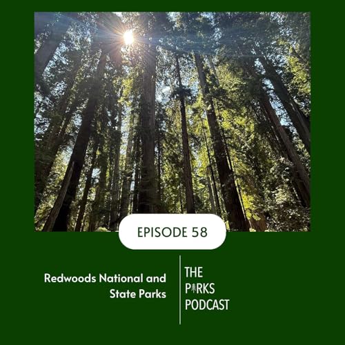 Redwoods National & State Parks (Episode 58)