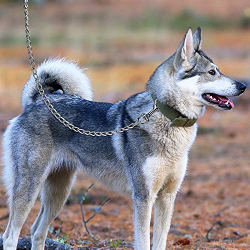 6 Feet Metal Chain Leash Heavy Duty Dog Leash With Dog Waste Bag Holder, Basic Leash With Padded Handle, For Walking,Traffic Training And Traveling For Large And Medium Size Pets (Black) #TOP5