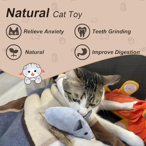 Jouets herbe à chat Andiker avec silvervine pour nettoyer les dents des chatons