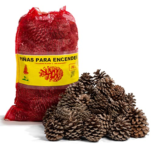 FlashPrix Piñas Encendido Ecológicas, Secas y Grandes para Barbacoa, Chimenea, Caldera y Estufa, 32L