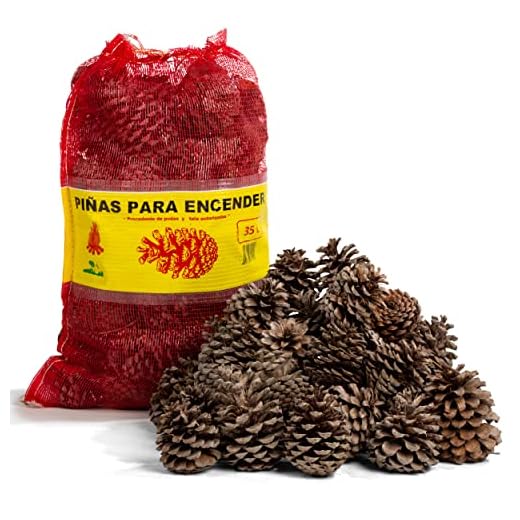 FlashPrix Piñas Encendido Ecológicas, Secas y Grandes para Barbacoa, Chimenea, Caldera y Estufa, 32L