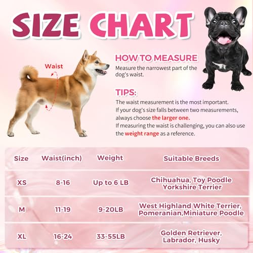 Image of Disposable Dog Diapers, Female Dog Diapers for Heat Cycle Protection, Super Absorbent & Adjustable, for Excitable Urination, Incontinence & Potty Training, Medium, 10 Count