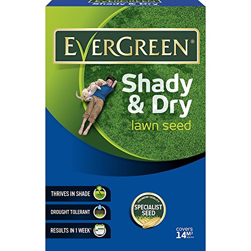 Evergreen Shady Lawn Grass Seed 420g