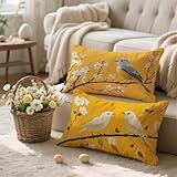 ENTRETIEN FACILE : Grâce à leur tissu imperméable, ces coussin exterieur se nettoient facilement : il suffit de les essuyer avec un chiffon humide ou un détergent doux pour éliminer les taches superficielles et garder les coussins propres et frais. De plus, ces coussins d'extérieur utilisent une technologie professionnelle de teinture réactive, garantissant une couleur durable et un bel aspect.