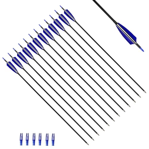 XTCXCARCHERY 30" Carbon Arrows Hunting Arrows with 4" Shield Shaped Turkey Feathers Spine 400 for Recurve & Traditional Long & English Long Bow(Pack of 12) (12, White&Blue)