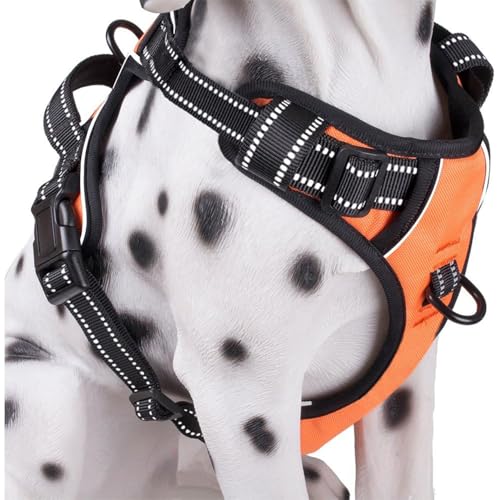Image of Lyrovo Adjustable No-Pull Dog Harness with Leash Set for Small, Medium & Large Dogs - Reflective, Breathable, Comfortable Vest Harness for Training & Walking (Orange, XL (35-60Kg))