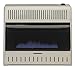 Gas Heater,Dual Fuel,30000 BtuH