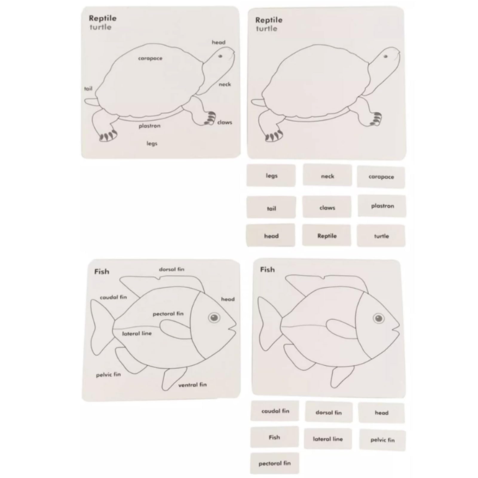 Carte Montessori a 3 Parti con Vassoio di Legno per Ordinamento | Carte Nomenclatura Animali e Piante, Materiale Linguistico Biologia, Giocattolo Educativo Classificazione Scientifica