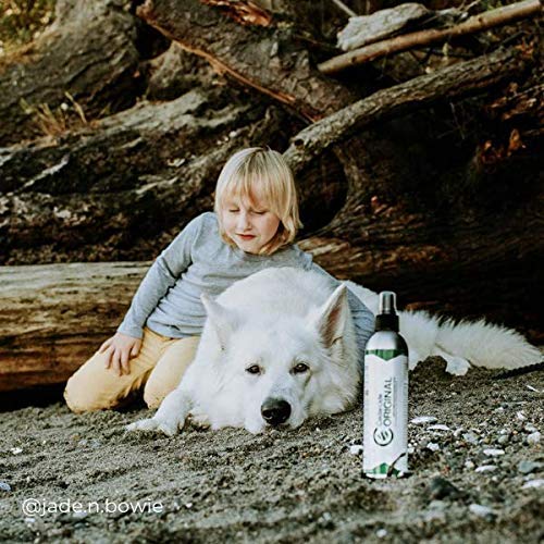 Cedarcide Original Bug Spray | Repel & Kill Fleas, Ticks, Mosquitoes, Mites, Ants & Chiggers | for use on People, Pets & Home | Natural Cedar Oil | Eco-Friendly | Quart