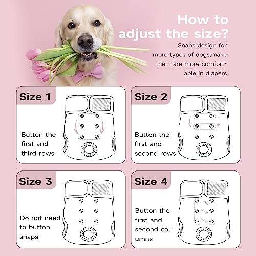 Image of Paw Legend Washable Reusable Female Dog Period Diapers for Heat Doggie Puppy Diapers for Female Dogs (3 Pack, X-Small)