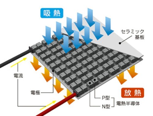 Amazon | Apice アピックス ポータブル保冷温庫 シルバー ACW