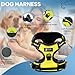 Copatchy Dog Harness No-Pull Pet Harness Adjustable Outdoor Vest 3M Reflective Oxford Material Easy Control for All Sized Dogs (X-Large, Green)