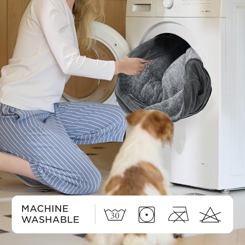 BEDSURE Hundebett mittelgroße Hunde – 76x61x15cm Hundesofa für mittlere Hunde waschbar, Hundekorb mit Abnehmbarer Bezug, Hundecouch mit Rutschfester Unterseite, kuschelweiches Hundebett, Grau