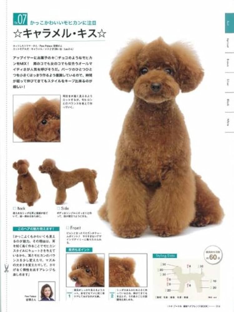 Amazon.co.jp: トイ・プードル 最新ヘアアレンジBOOK (別冊家庭画報) : 本