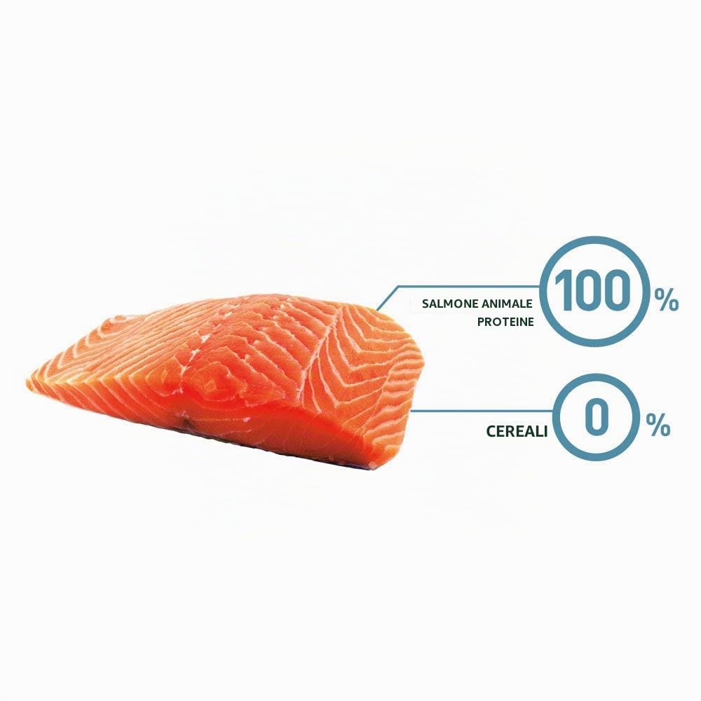 BRAVERY Puppy Salmone Medium/Large 12 kg - Crocchette per Cucciolo