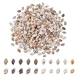GOMAKERER 400 Pcs Natural Shell Beads, Spiral Shell Beads Hole 1mm Conch Trinket Fish Tank Aquarium Ornaments Summer Beach Small Seashells for Jewelry Making DIY Crafting