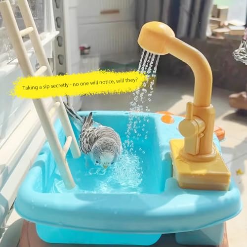 Baignoire à oiseaux automatique en ABS pour grands perroquets