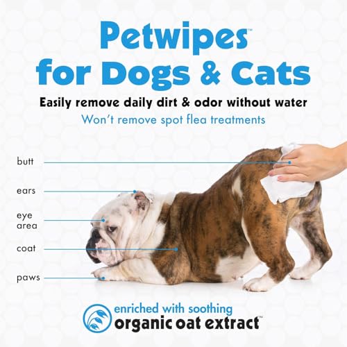 Image of Petkin Big n' Thick Petwipes for Dogs and Cats, Wipes Away Daily Dirt and Odor, Cleans Face, Ears, Body and Eye Area, Super Convenient, Ideal for Home or Travel 100 Wipes | Big N Thick Pet Wipes