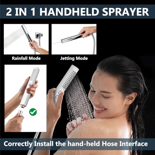 Image of Aolemi Ceiling Shower Faucet Set System Dual Head 10&6 Inch Polish Chrome