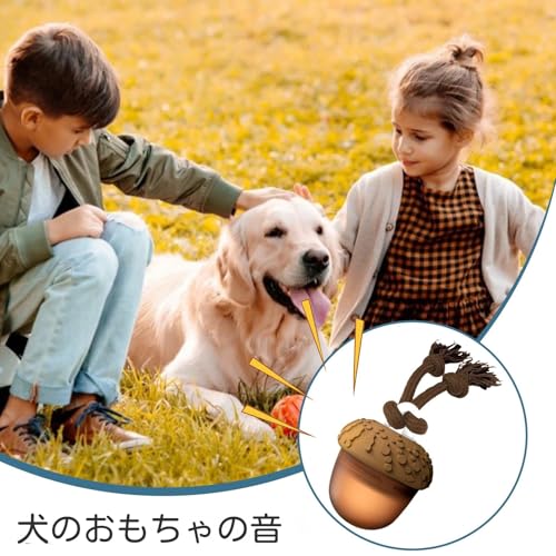 Onuuzivl C^NeBu hbO{[ | œ{[ - q璆^ ƉŗVׂΘb^ ރybg̉ɂԂ VюԂ̃GQ[Wg