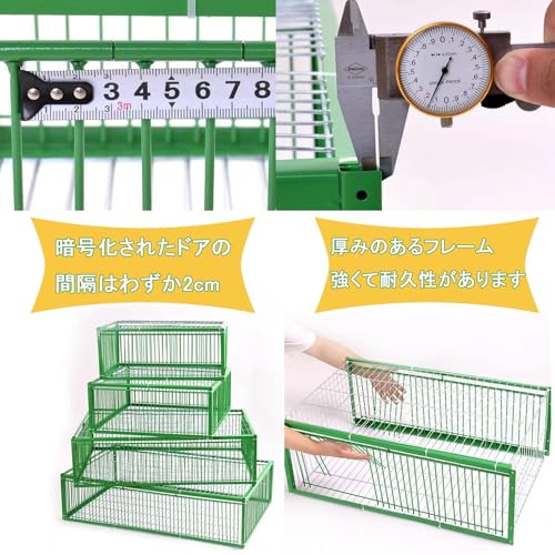 Jaula de trampa para pájaros, ligera, fácil de montar y limpiar, eficaz para palomas, cuervos, loros, solución de control de vida silvestre y control de plagas