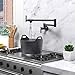 NIREU Pot Filler Faucet Wall Mount Matte Black Folding Stretchable Brass Kitchen Faucet with Single Hole Two Handles