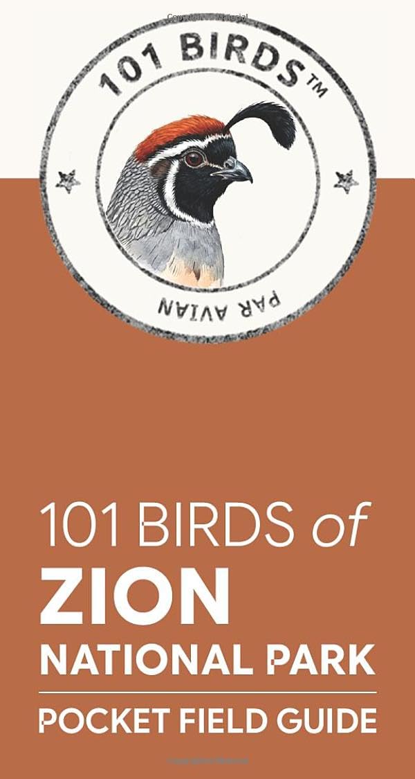 101 Birds of Zion National Park: Pocket Field Guide (101 Birds Pocket Field Guides)