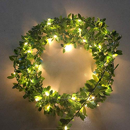 Preisvergleich Produktbild Danolt Lichterkette mit 50 LEDs, Kupferdraht, batteriebetrieben, für Hochzeit, Party, Haus, Schlafzimmer, Heimdekoration, 5 m