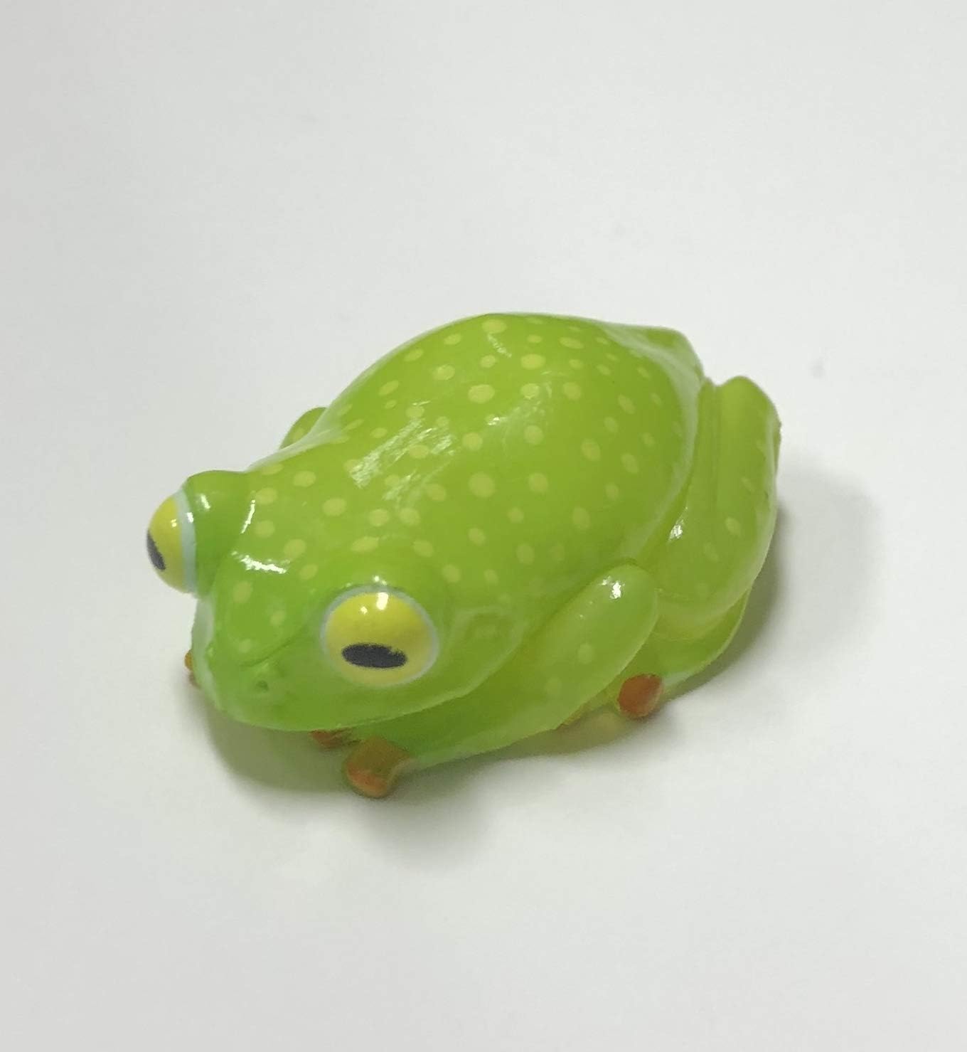 限定品 カプセルqミュージアム 財布にカエル お財布蛙2 単品 2g フライシュマンアマガエルモドキ グリーン