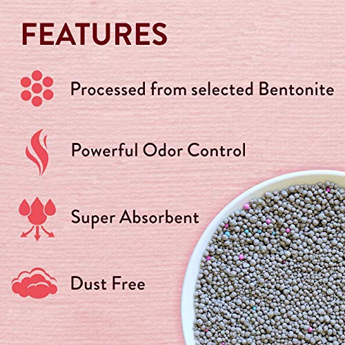Image of Meat Up Adult Cat Food, 7 Kg & Clumping Lavender Fragrance Cat Litter, 5Kg - Liquid