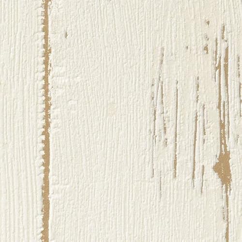 TQc t@C ǎ (NX) ЂȂ/̂薳 y1m×z FE76603 ( FE74200) 92cm | ؖڃE^R[g FINE 2023-2026