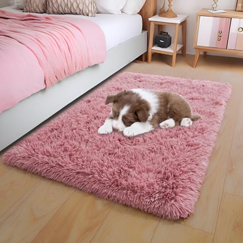 KING DARE Small Shag Rug 2x3 for Bedroom, Soft Fuzzy Bedside Throw Area Rug for Living Room Dorm, Non Slip Plush Carpet Modern Home Decor Aesthetic for Entrance Nursery Kids Room, Blush