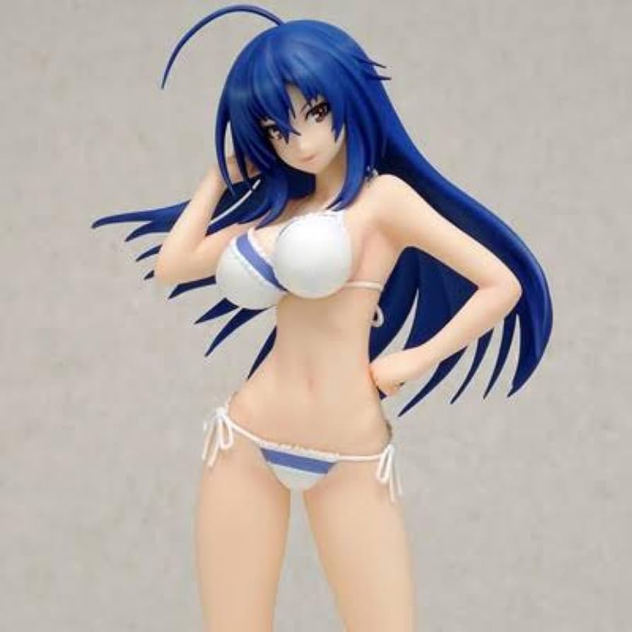 BEACH QUEENS めだかボックス 黒神めだか 1/10 完成品フィギュア Amazon.co.jp: めだかボックス 黒神 めだか (1/10スケール PVC