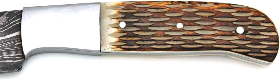 Wild Turkey Handmade Damascus Collection Full Tang Burned Bone Handle Full Tang Fixed Blade Knife Hunting Camping Fishing Outdoors (3)