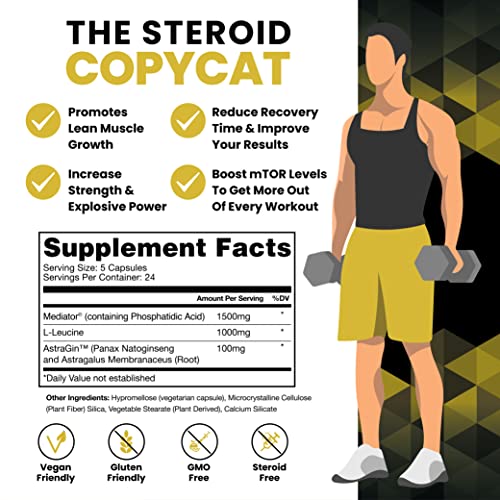 Hpn Pa(7) Phosphatidic Acid Muscle Builder Top Natural Muscle Builder - Boost Mtor | Build Mass And Strength From Your Workout | 30 Day Supply #TOP1