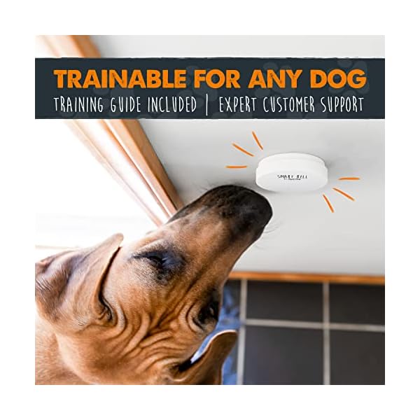 Mighty-Paw-Smart-Dog-Bell-20-Wireless-Dog-Door-Bell-for-Potty-Training-Potty-Training-Bell-for-Puppies-for-Door-Door-Bells-for-Dogs-to-Ring-to-Go-Outside-Electronic-Door-Bell-Dog-Button Pet Training Bells