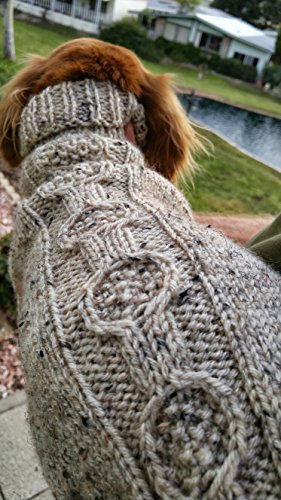 dachshund sweater amazon