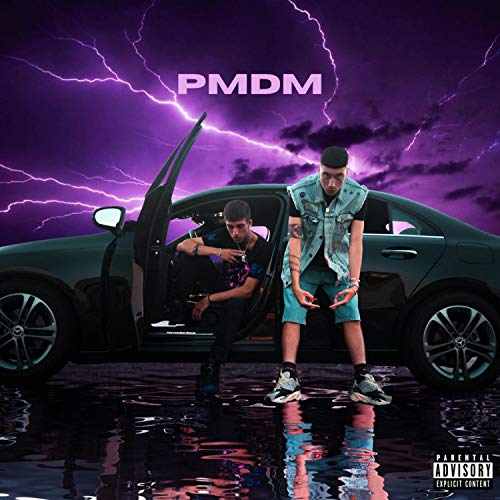  PMDM
