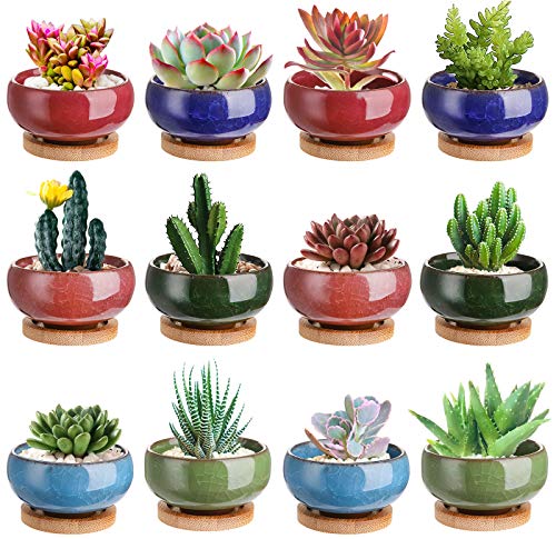 Lawei 12 Pack Ice Crack Succulent Pots with Bamboo Saucer - Ceramic Mini Cactus Plant Pots Flower...