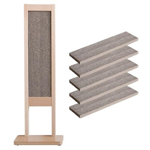 { uؐ ܂ƂX^hv ˂ ܌ lR  VRf ؂̍  _{[ Y  bNX ΍Ƌ (X^h{_{[5)