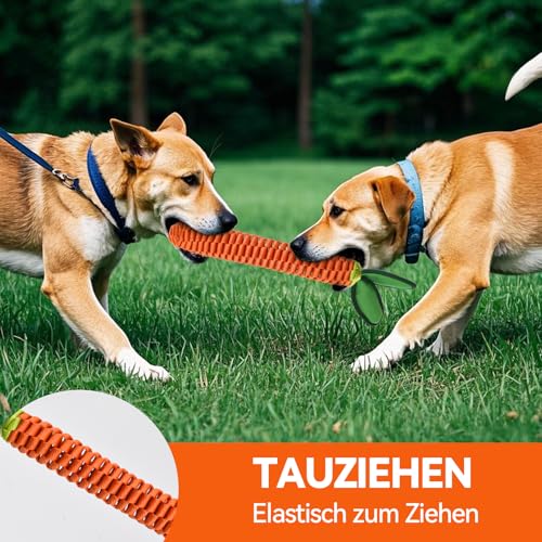 AUSCAT Hundespielzeug Seil, Langlebiges Karotte Hundespielzeug Geflochten mit Quietscher, Tau Spielzeug für Welpen, Karotte