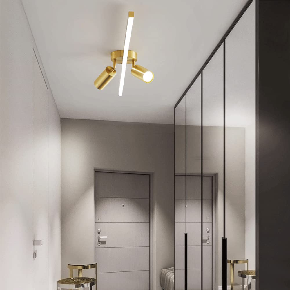 Faretti da soffitto Regolabili, Kit di Illuminazione a Binario Fisso a LED, faretti da soffitto a 2 Vie, faretti direzionali per Cucina, Galleria, corridoio, da