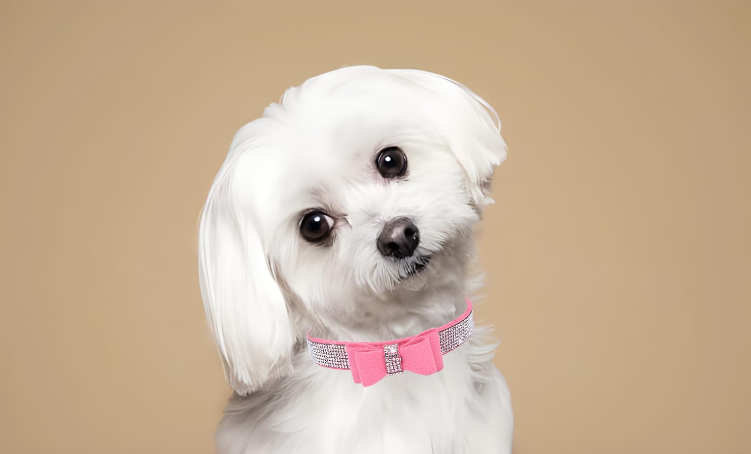 Bowtie Diamante Dog Collar - Image 3