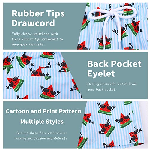 Image of Biwisy Boys Swim Trunks Quick Dry Swim Shorts Little Boys Lining Swimwear Bathing Suits with Pockets