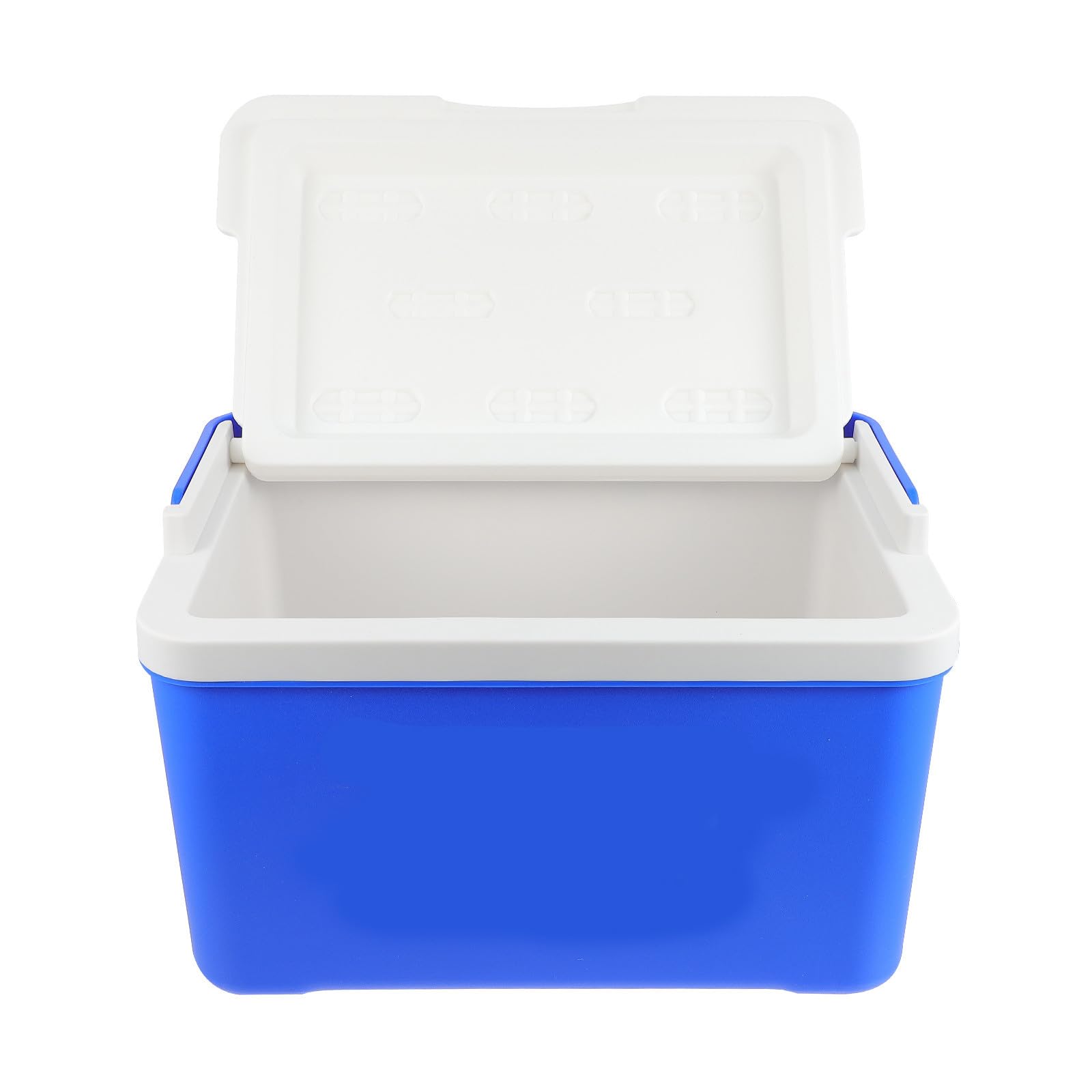 Nevera Portátil para Picnic de 12 L en PVC con Asa Azul