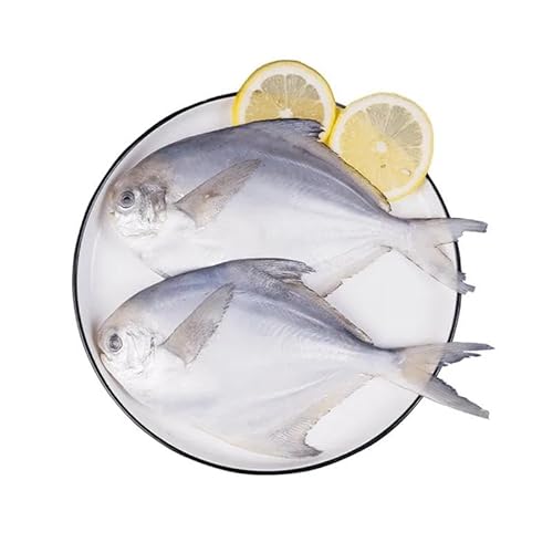 冷凍マナガツオ 銀? 鮮度そのまま 手軽に調理 豊富な栄養 約4-5尾 500g 業務用 (2袋)